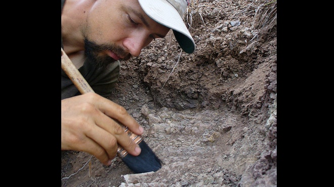 oldest dinosaur excavation.jpg